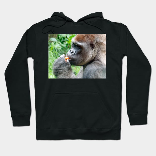 Hungry Gorilla Hoodie by MGphotoart